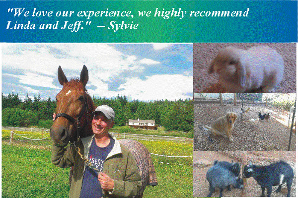 Housesitting and Petsitting, rabbits, pygmy goats, chickens and interacting with horses, too!