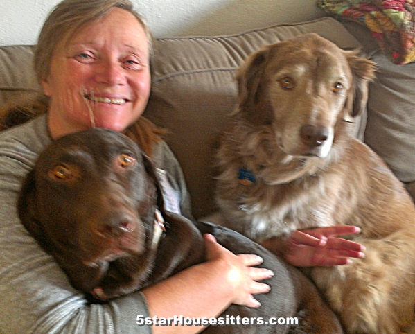 Extended stay pet care in San Diego with chocolate lab retriever and husky mix in southern California