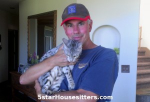 Kiki, the silver bengal, on cat care assignment in Durango