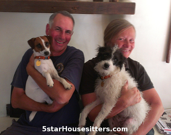 Dog sitting Parson Russell Terriers (Jack Russell Terriers) in Santa Fe