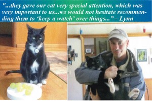 Housesitting and petsitting for Dino the cat in Tacoma