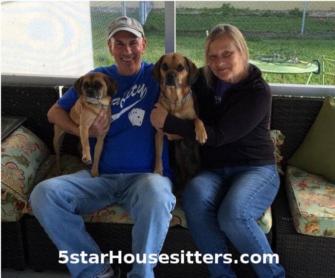 Pet sitting as a dog boarding alternative for puggles in southwest Florida